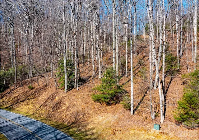 4th image of 00 Chattooga Run #292R, Hendersonville, NC 28739 | MLS# 4333827