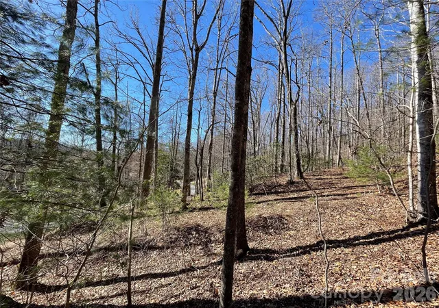5th image of 00 Chattooga Run #292R, Hendersonville, NC 28739 | MLS# 4333827