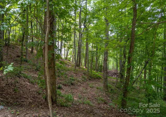 Photo 2 of Land for sale at 20 Highland Point Dr, Hendersonville, NC 28739 | MLS# 4334240 | Listing updated on 2026-01-08