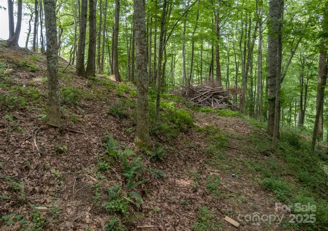Photo 3 of Land for sale at 20 Highland Point Dr, Hendersonville, NC 28739 | MLS# 4334240 | Listing updated on 2026-01-08