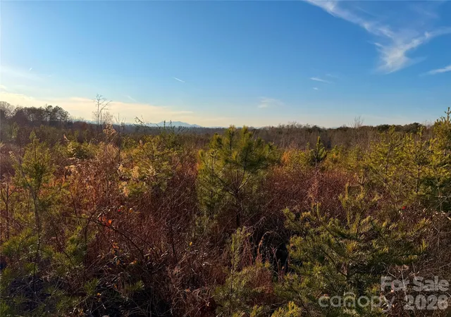 2nd image of 0 Brady Hampton Dr, Rutherfordton, NC 28139 | MLS# 4334270