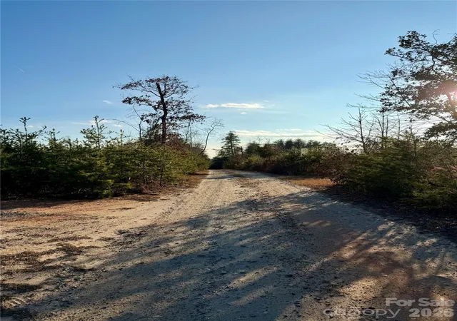 27th image of 0 Brady Hampton Dr, Rutherfordton, NC 28139 | MLS# 4334270
