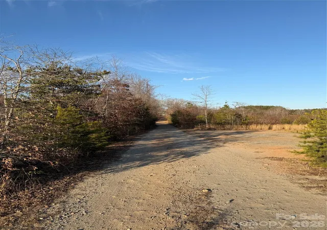 4th image of 0 Brady Hampton Dr, Rutherfordton, NC 28139 | MLS# 4334270