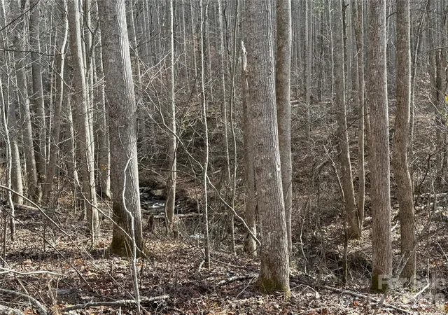 Photo 1 of Land for sale at 00000 Martins Crk Rd, Barnardsville, NC 28709 | MLS# 4334416 | Listing updated on 2026-09-12