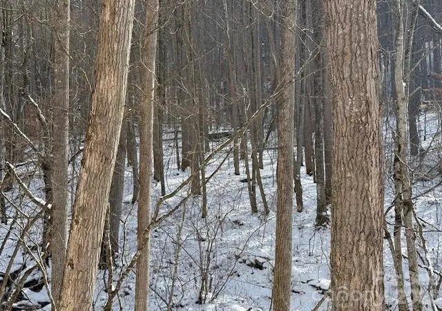Photo 2 of Land for sale at 00000 Martins Crk Rd, Barnardsville, NC 28709 | MLS# 4334416 | Listing updated on 2026-09-12