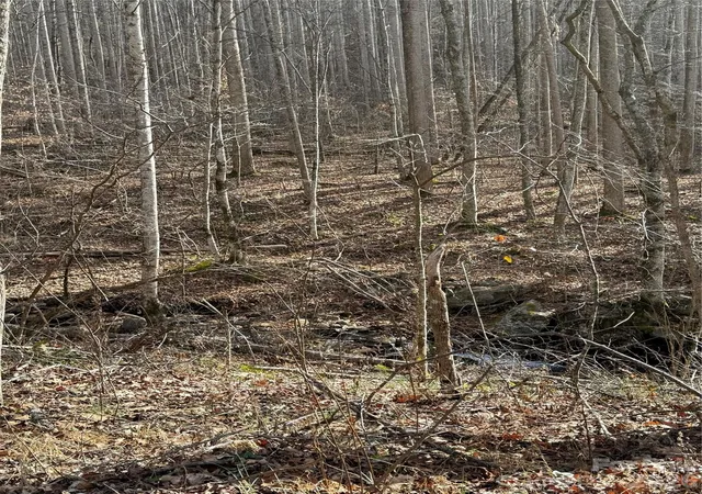 Photo 3 of Land for sale at 00000 Martins Crk Rd, Barnardsville, NC 28709 | MLS# 4334416 | Listing updated on 2026-09-12
