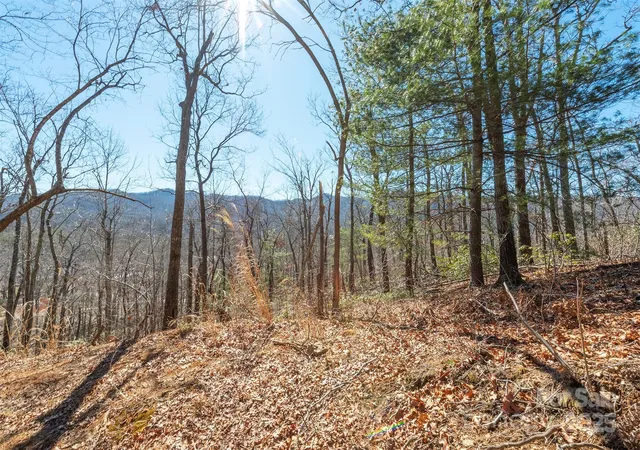 Photo 4 of Land for sale at 107 Bartram Way, Black Mountain, NC 28711 | MLS# 4334423 | Listing updated on 2026-10-08