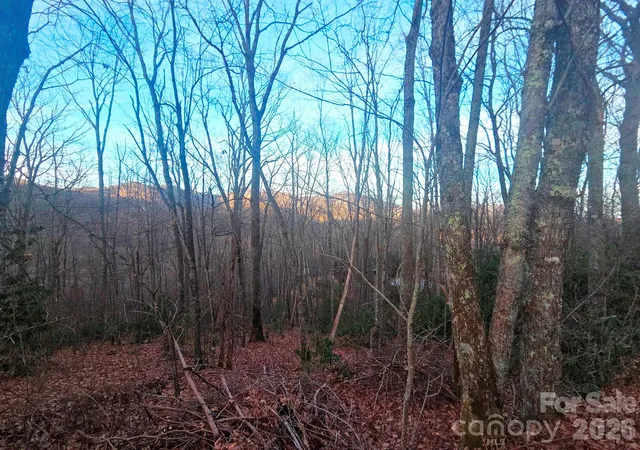Photo 3 of Land for sale at 10 Tall Oaks Dr #58A & 58B, Maggie Valley, NC 28751 | MLS# 4335104 | Listing updated on 2026-08-27