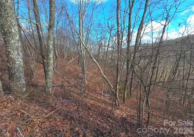 Photo 1 of Land for sale at 220 Sky Dr #PT-11, Maggie Valley, NC 28751 | MLS# 4335201 | Listing updated on 2026-10-14