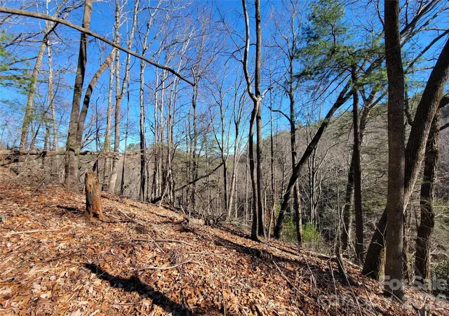 Homes for sale in Lenoir, NC | 0 Timberline Dr #592, Lenoir, NC 28645 | MLS# 4335206