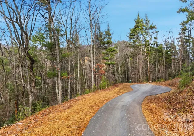 Homes for sale in Lenoir, NC | 0 Timberline Dr #592, Lenoir, NC 28645 | MLS# 4335206