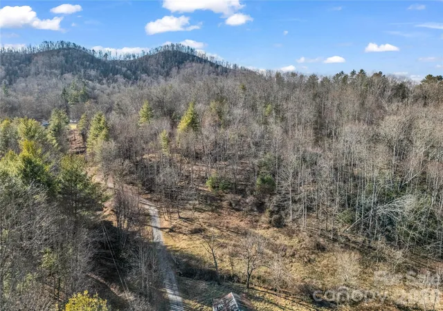 Homes for sale in Bakersville, NC | 530 Mine Creek Rd, Bakersville, NC 28705 | MLS# 4335296