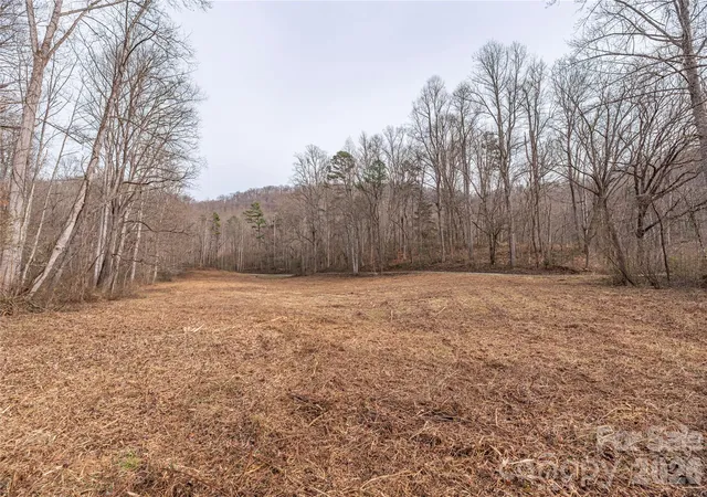 Homes for sale in Sylva, NC | 00 Carver Mountain Vly, Sylva, NC 28779 | MLS# 4335414