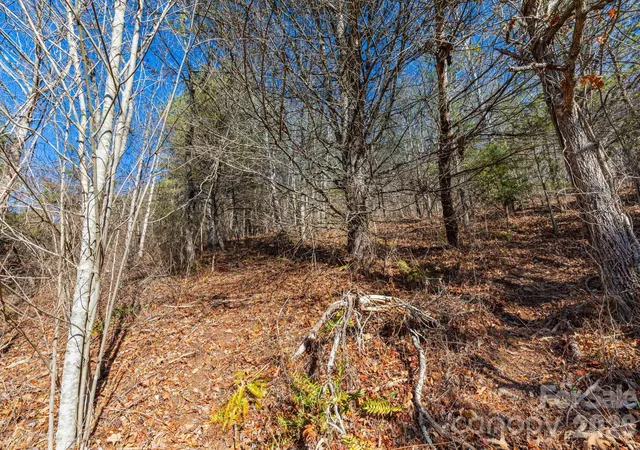 Photo 4 of Land for sale at 999 Rosalie Ln #6, Waynesville, NC 28785 | MLS# 4335628 | Listing updated on 2026-09-28