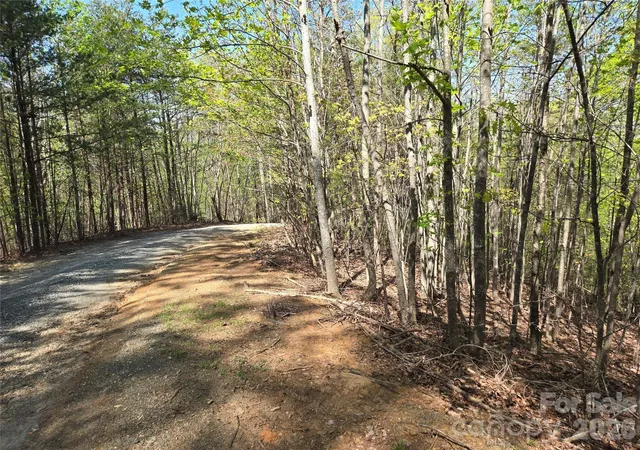 Photo 2 of Land for sale at Lot 4 Hibiscus Ct, Lake Lure, NC 28746 | MLS# 4335906 | Listing updated on 2026-09-14