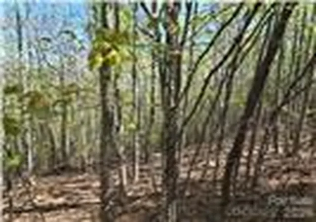 4th image of Lot 4 Hibiscus Ct, Lake Lure, NC 28746 | MLS# 4335906