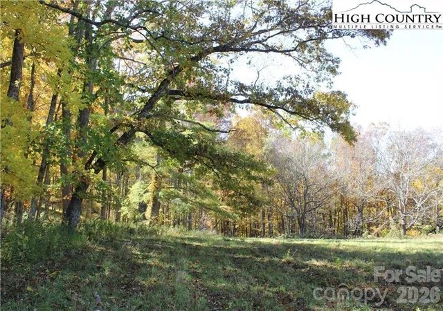 Homes for sale in Lansing, NC | Tbd Mcneill Rd, Lansing, NC 28643 | MLS# 4335959