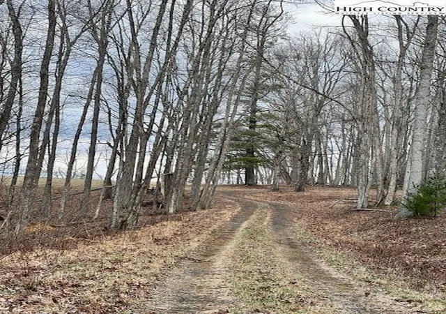 Homes for sale in Lansing, NC | Tbd Mcneill Rd, Lansing, NC 28643 | MLS# 4335959