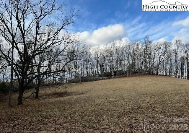 Homes for sale in Lansing, NC | Tbd Mcneill Rd, Lansing, NC 28643 | MLS# 4335959