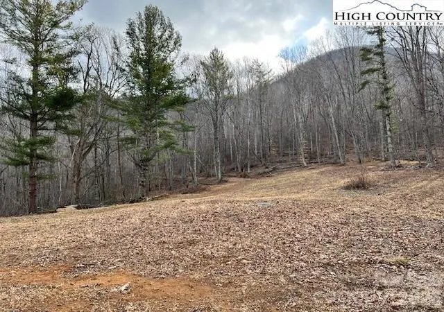 Homes for sale in Lansing, NC | Tbd Mcneill Rd, Lansing, NC 28643 | MLS# 4335959
