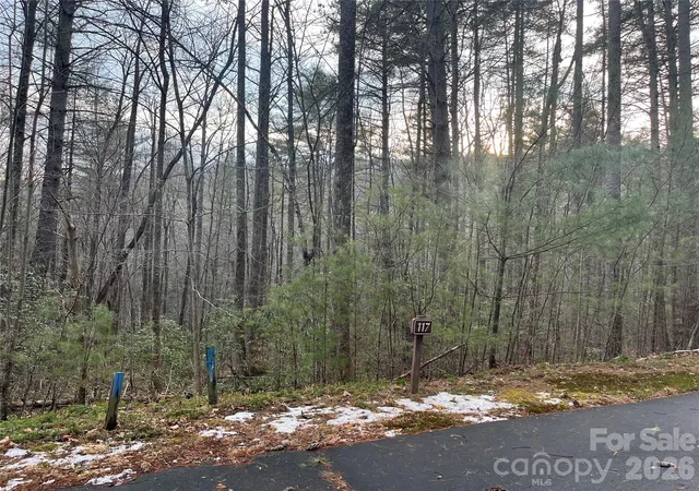 3rd image of Lot 117 Huckleberry Ridge Ln, Zirconia, NC 28790 | MLS# 4336551