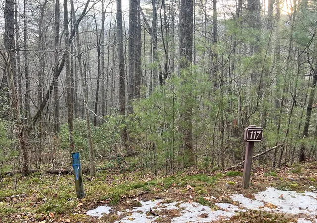 4th image of Lot 117 Huckleberry Ridge Ln, Zirconia, NC 28790 | MLS# 4336551