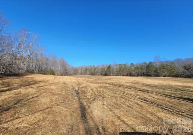 9th image of 999 Bill Collins Rd #19.87+/- Acres, Columbus, NC 28722 | MLS# 4336576