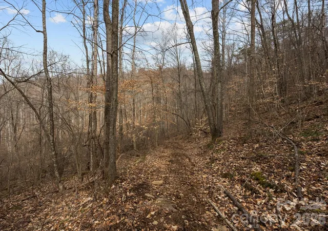 Photo 1 of Land for sale at 99999 Haynes Cvs, Clyde, NC 28721 | MLS# 4336650 | Listing updated on 2026-06-30
