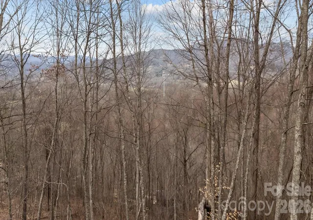 Photo 2 of Land for sale at 99999 Haynes Cvs, Clyde, NC 28721 | MLS# 4336650 | Listing updated on 2026-06-30