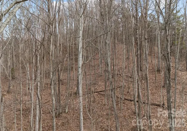 Photo 3 of Land for sale at 99999 Haynes Cvs, Clyde, NC 28721 | MLS# 4336650 | Listing updated on 2026-06-30