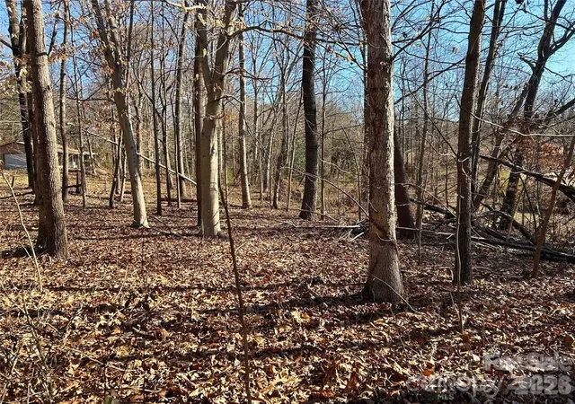 Photo 3 of Land for sale at 00 Walker Branch Rd, Lincolnton, NC 28092 | MLS# 4337026 | Listing updated on 2026-08-13