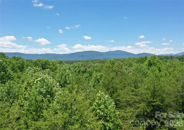 Photo 1 of Land for sale at 0 Burt Blackwell Rd, Mill Spring, NC 28756 | MLS# 4337266 | Listing updated on 2026-06-28