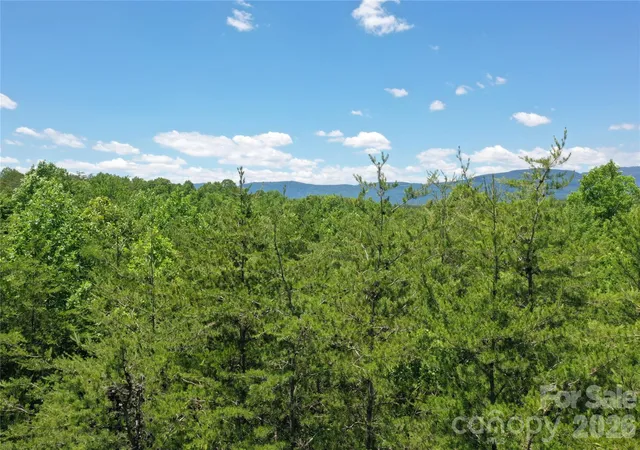Photo 2 of Land for sale at 0 Burt Blackwell Rd, Mill Spring, NC 28756 | MLS# 4337266 | Listing updated on 2026-06-28