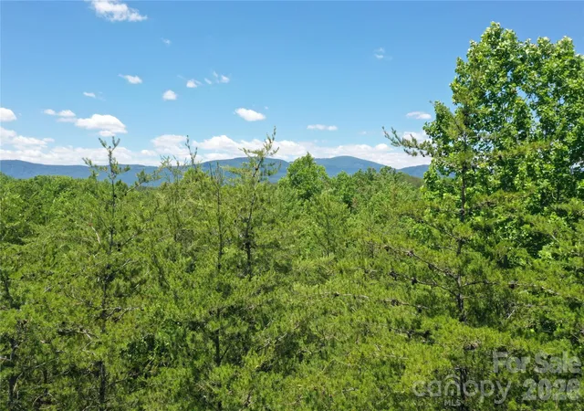 Photo 3 of Land for sale at 0 Burt Blackwell Rd, Mill Spring, NC 28756 | MLS# 4337266 | Listing updated on 2026-06-28