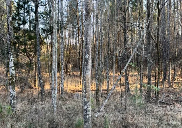 Homes for sale in Lancaster, SC | 8066 Gulf Creek Rd, Lancaster, SC 29720 | MLS# 4337435