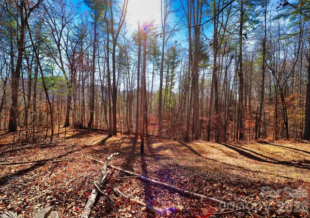 1st image of Tbd Rocking Horse Trl, Burnsville, NC 28714 | MLS# 4338027
