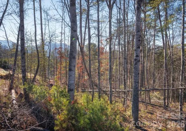 Photo 2 of Land for sale at 161 Riverbend Forest Dr #9, Asheville, NC 28805 | MLS# 4338449 | Listing updated on 2026-09-17