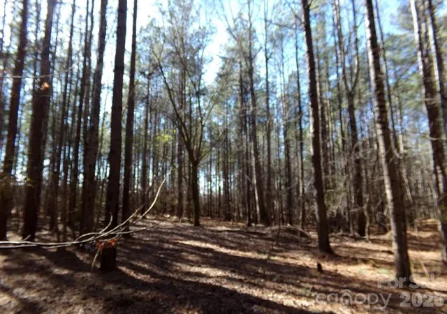 Photo 3 of Land for sale at 42 Ac Hwy 55, Clover, SC 29710 | MLS# 4338452 | Listing updated on 2026-08-14