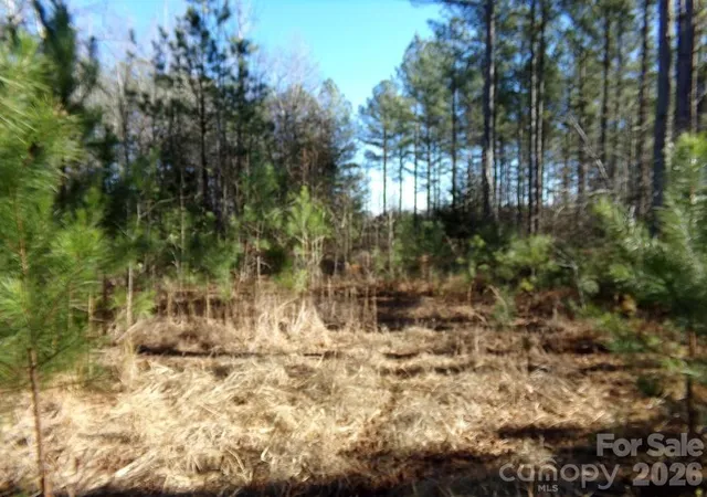 Photo 4 of Land for sale at 42 Ac Hwy 55, Clover, SC 29710 | MLS# 4338452 | Listing updated on 2026-08-14
