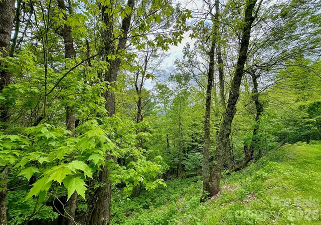 Photo 3 of Land for sale at Tbd Alpine Dr, Seven Devils, NC 28604 | MLS# 4338550 | Listing updated on 2026-04-21