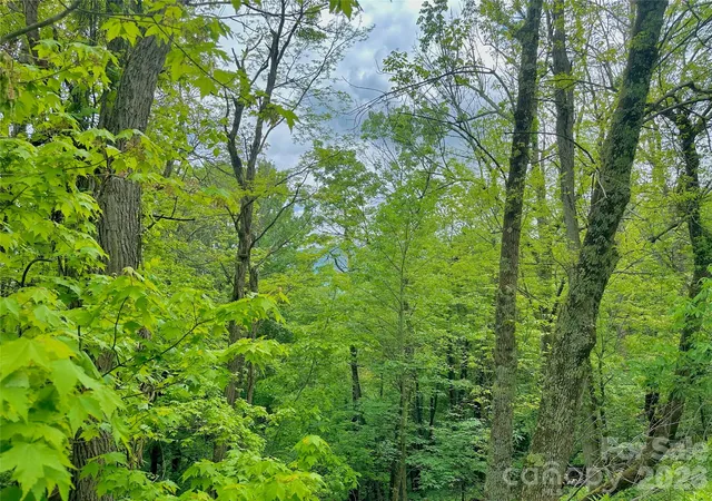 Photo 4 of Land for sale at Tbd Alpine Dr, Seven Devils, NC 28604 | MLS# 4338550 | Listing updated on 2026-04-21
