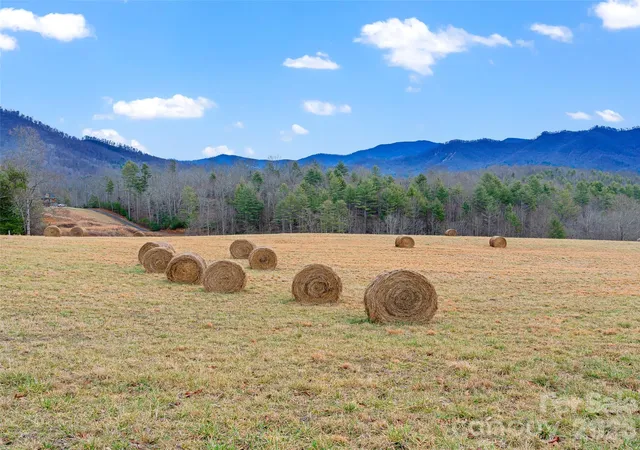 Photo 1 of Land for sale at 784 Green Young Cemetery Rd, Bakersville, NC 28705 | MLS# 4339895 | Listing updated on 2026-01-22