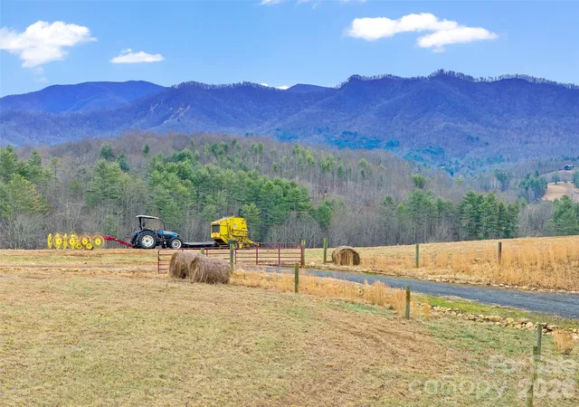 Photo 2 of Land for sale at 784 Green Young Cemetery Rd, Bakersville, NC 28705 | MLS# 4339895 | Listing updated on 2026-01-22