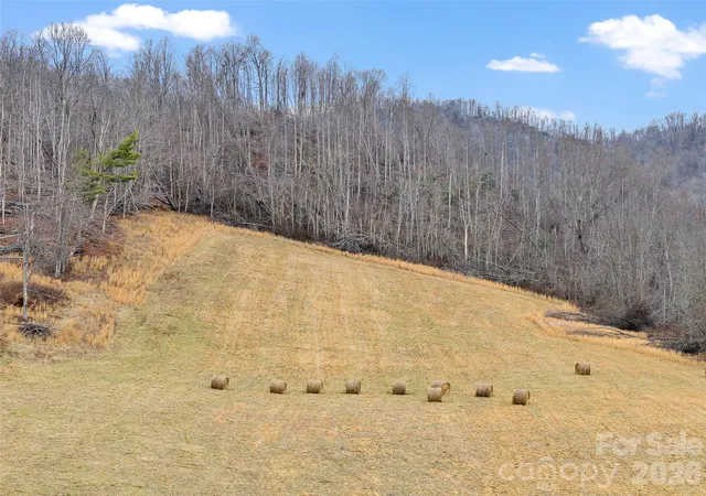 Photo 3 of Land for sale at 784 Green Young Cemetery Rd, Bakersville, NC 28705 | MLS# 4339895 | Listing updated on 2026-01-22