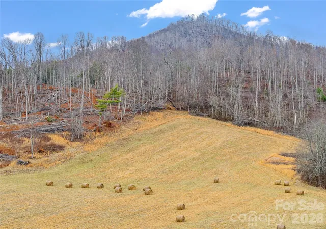 Photo 4 of Land for sale at 784 Green Young Cemetery Rd, Bakersville, NC 28705 | MLS# 4339895 | Listing updated on 2026-01-22