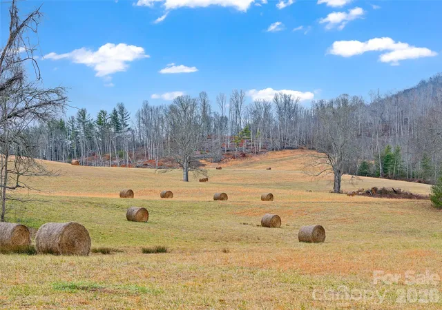 Photo 46 of Land for sale at 784 Green Young Cemetery Rd, Bakersville, NC 28705 | MLS# 4339895 | Listing updated on 2026-01-22