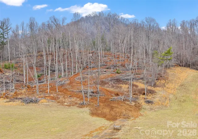 Photo 5 of Land for sale at 784 Green Young Cemetery Rd, Bakersville, NC 28705 | MLS# 4339895 | Listing updated on 2026-01-22