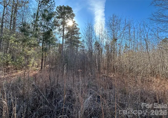 Photo 4 of Land for sale at 38 Ac Mountain Gap Rd, Richburg, SC 29729 | MLS# 4340261 | Listing updated on 2026-06-23
