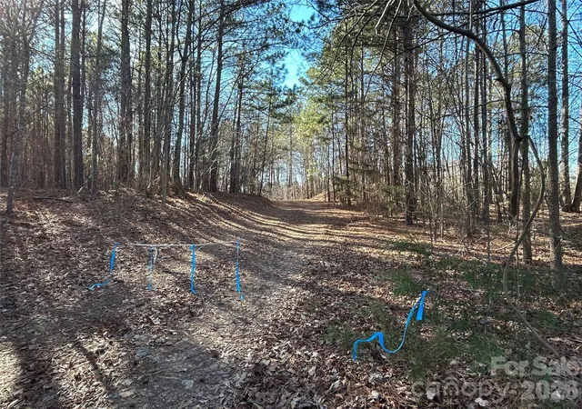 Photo 5 of Land for sale at 38 Ac Mountain Gap Rd, Richburg, SC 29729 | MLS# 4340261 | Listing updated on 2026-06-23