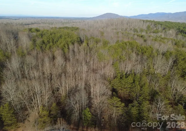 Homes for sale in Nebo, NC | 147 Double Eagle Dr #23, Nebo, NC 28761 | MLS# 4340320